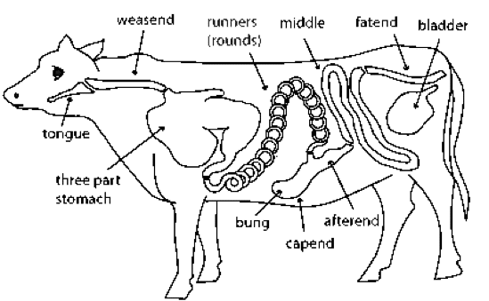 מדריך הכנת נקניקיות בבית - תמונה 2