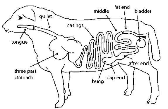מדריך הכנת נקניקיות בבית - תמונה 3