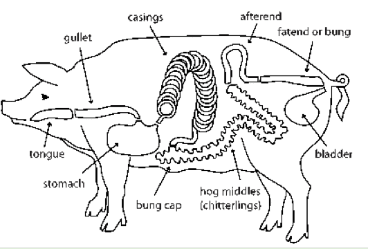 מדריך הכנת נקניקיות בבית - תמונה 1
