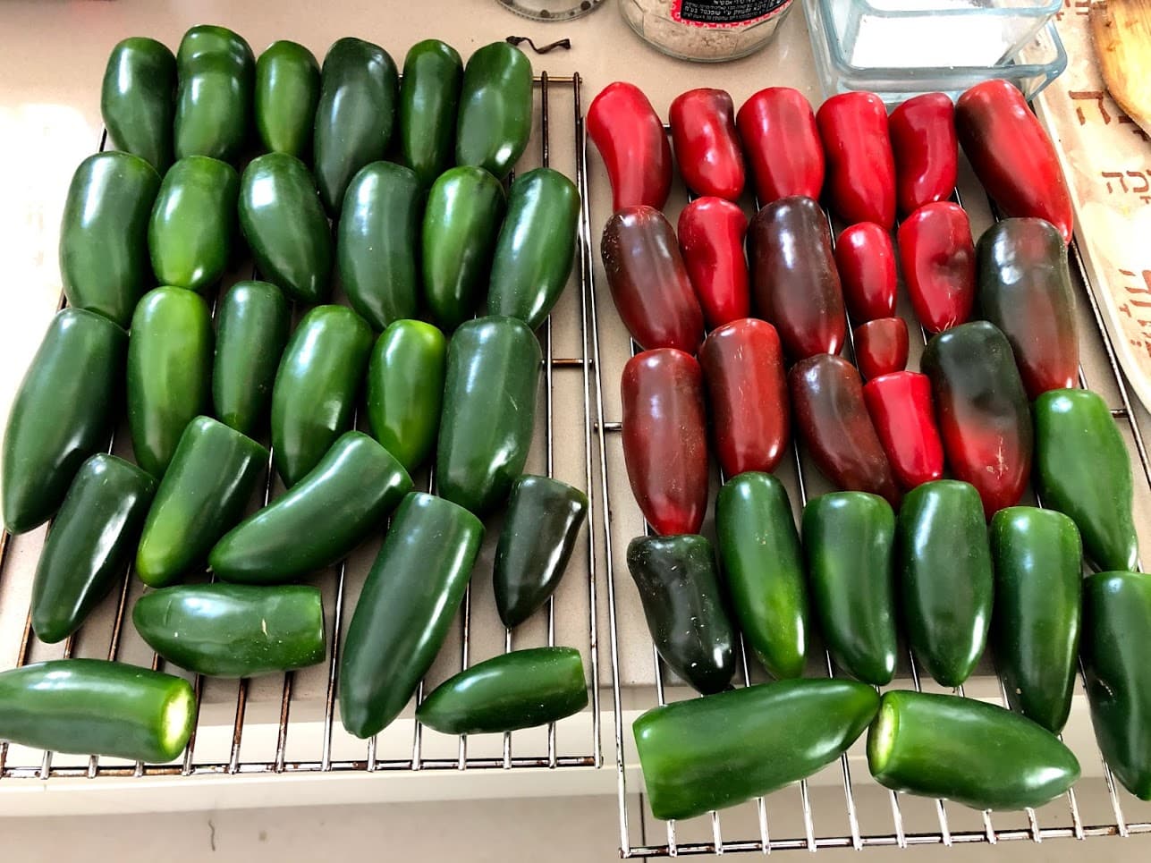 ציפוטלה ברוטב אדובו