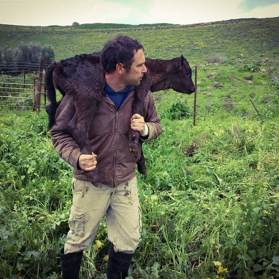 המעשנה החברתית