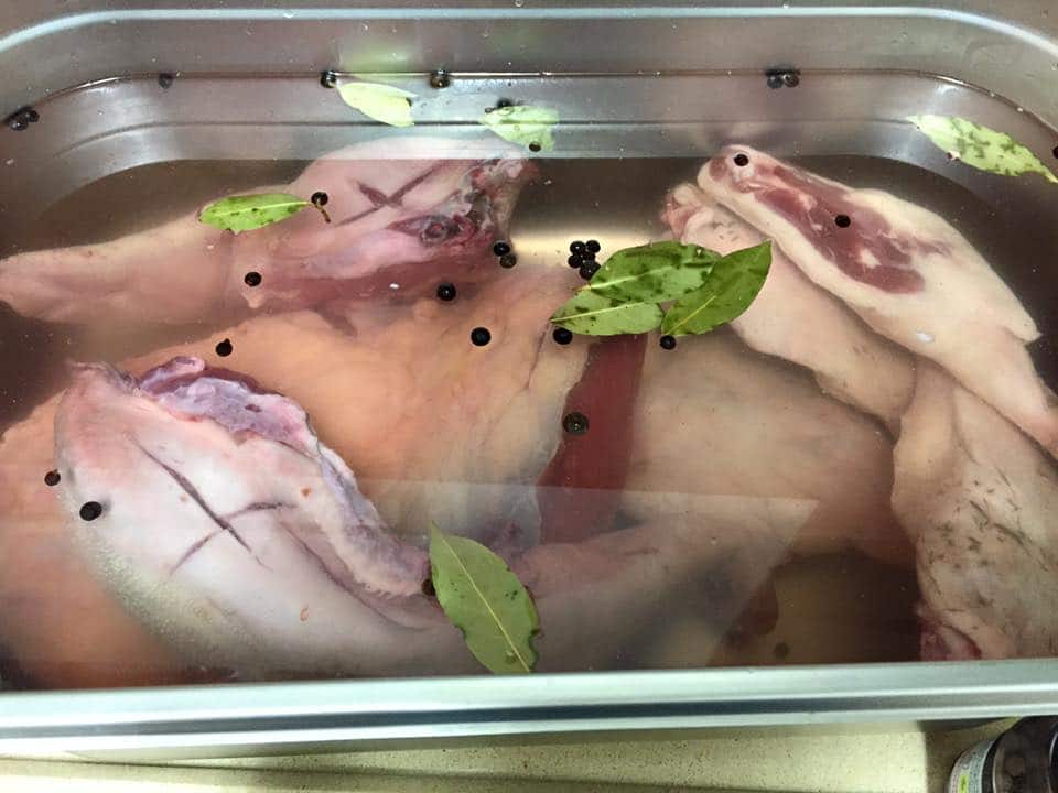 מדריך בריין למתחילים