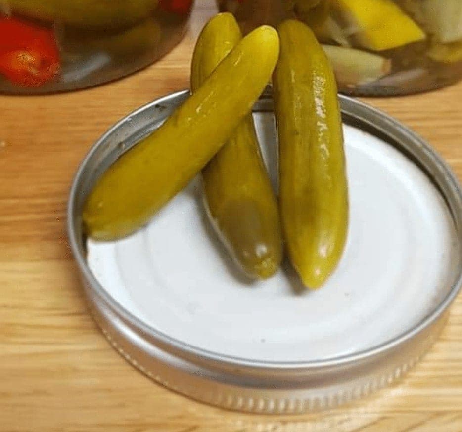 מלפפונים חמוצים בסו-ויד